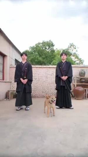 校花的贴身保镖是仙尊（75集）热播短剧追不停