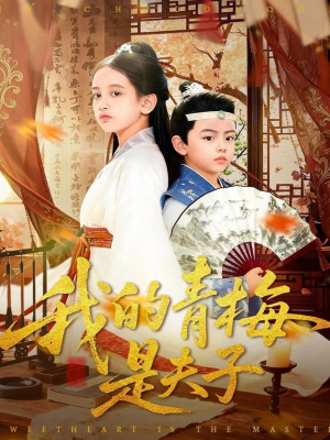 我的青梅是夫子（120集）经典老剧免费看