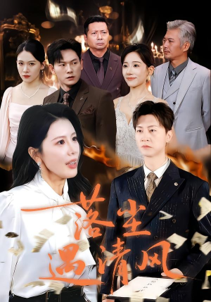 离婚而已（74集）一口气看完全集