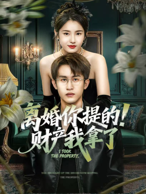 离婚你提的！财产我拿了（63集）追短剧看全集
