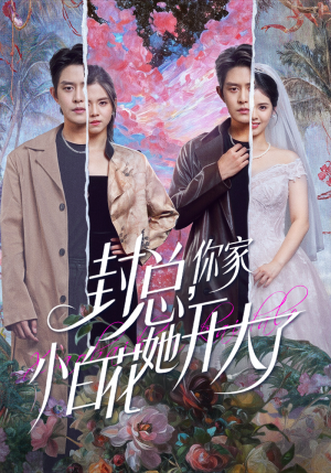 大佬你的牙粘口红了（60集）短剧免费分享