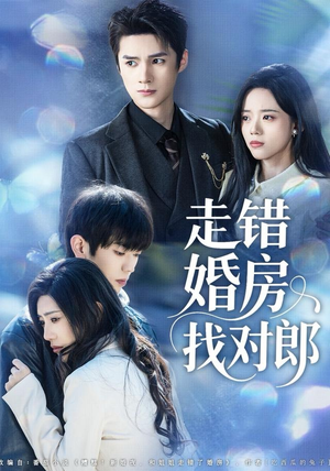走错婚房找对郎（50集） 热播短剧推荐