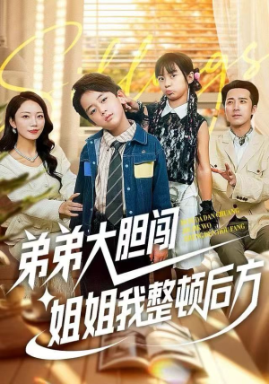 弟弟大胆闯，姐姐我整顿后方（100集）1-102集