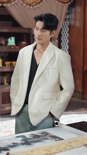 这个杀手是赘婿(81集) 这个杀手是赘婿(81集)全集免费