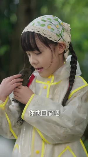 大舅二舅三舅四舅,都被我带飞(72集) 大舅二舅三舅四舅,都被我带飞(72集)经典老剧免费看