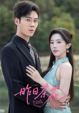 昨日茶花（56集）哪个网站可以看