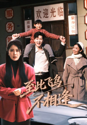 至此飞鸟不相逢（70集）上热门短剧