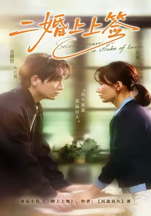 二婚上上签(71集) 二婚上上签(71集)热播短剧抢先看