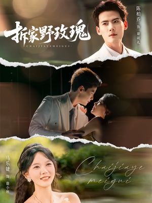 拆家野玫瑰（80集）热门短剧榜单