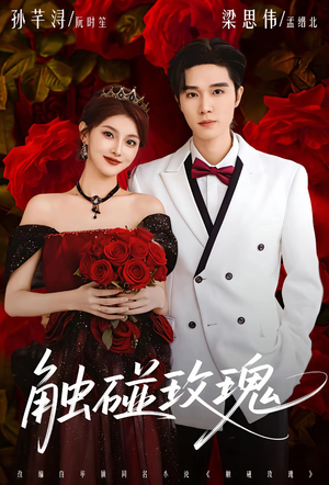 触碰玫瑰（80集）每天分享短剧