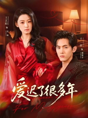 爱迟了很多年（73集）真的好看吗