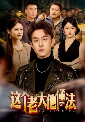 这个老大他懂法（100集）无需会员轻松看