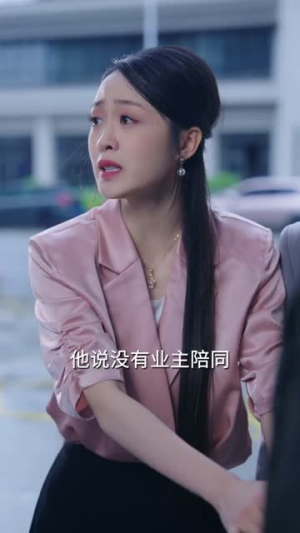 愿来世不再悲伤（56集）百度网盘在线看