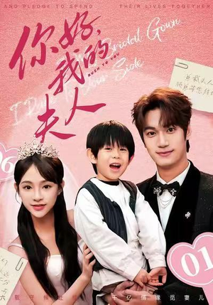 顾总，我才是你的夫人（65集）海量资源免费看