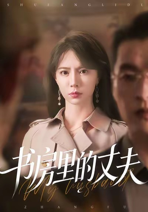 书房里的丈夫（100集）全集一次看完