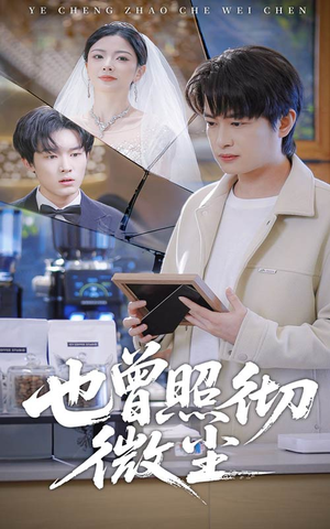 也曾照彻微尘（60集）好看短剧分享