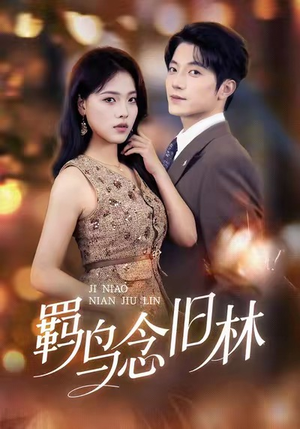 羁鸟念旧林（60集）快来看短剧