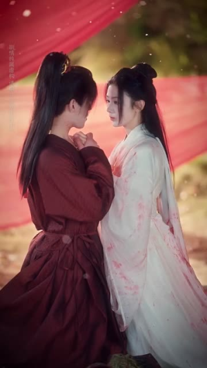 朱墙两面花（63集）1-102集