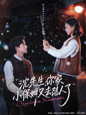 沈先生，你家小保姆又去怼人了（82集）短剧解说全集