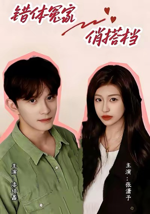 错体冤家俏搭档（60集）在哪看