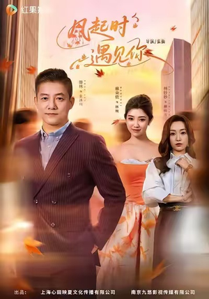 风起时遇见你（59集）一起看短剧