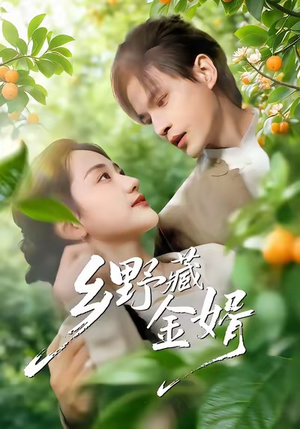 乡野藏金婿（50集）短剧全集更精彩