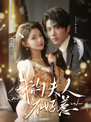 我的夫人不好惹（60集）演员表