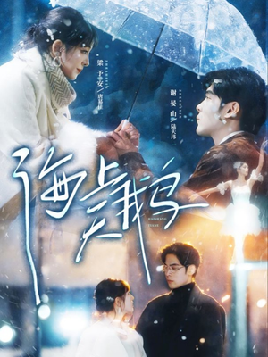 海上天鹅（70集）热门短剧大全