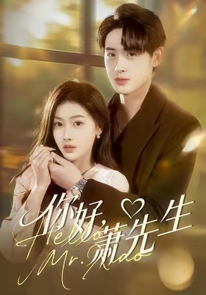 你好，萧先生（98集）全集我都看完了