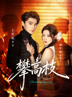 攀高枝（70集）短剧推荐来了