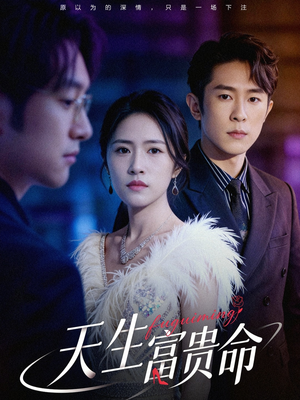 天生富贵命（48集）一共多少集
