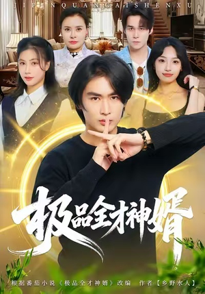 极品全才神婿（67集）真的太好看了