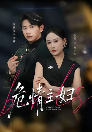 危情主妇（60集）正能量短剧分享