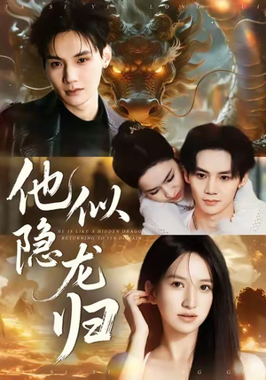 他似隐龙归（60集）直接看到大结局