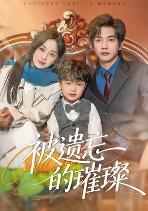 被遗忘的璀璨（80集）集免费看短剧