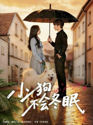 小狗不会冬眠（70集）无需会员免费看