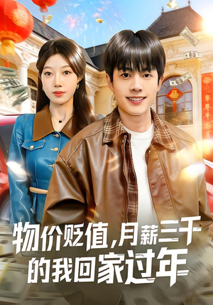 物价贬值，月薪三千的我回家过年（80集）短剧太精彩了