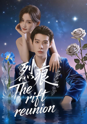 烈痕（35集）全季一次看完