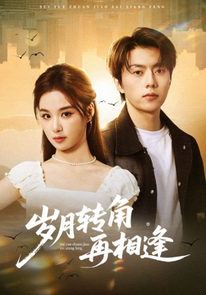 岁月转角再相逢（80集）高分佳作免费看