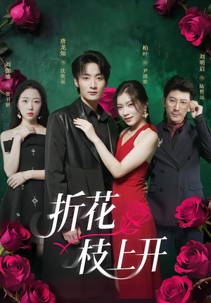 折花枝上开（51集）热门短剧来袭