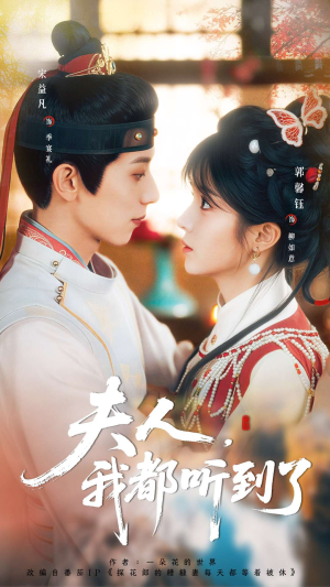 夫人，我都听到了（100集）全集在线看