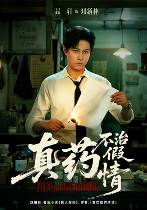 真药不治假情(60集) 真药不治假情(60集)短剧演员排行榜