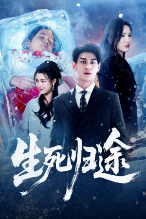 生死归途（50集）深深爱上这部剧