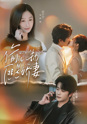 偷心劫匪是娇妻(61集) 偷心劫匪是娇妻(61集)悬疑短剧推荐