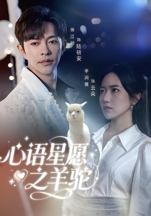 心语星愿之羊驼（60集）全网短剧抢先看