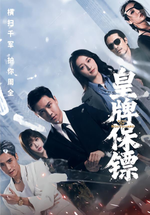 皇牌保镖（66集）全剧看到大结局