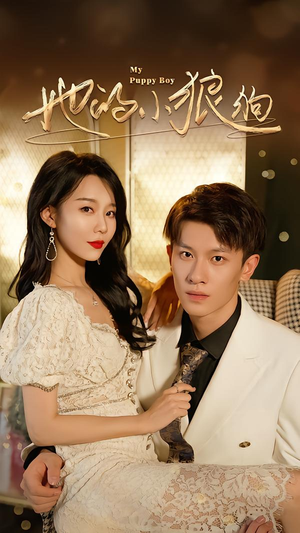 灿烂的风（60集）大结局完美收官