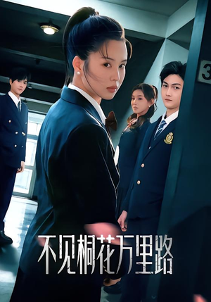 不见桐花万里路（71集）真的太好看了