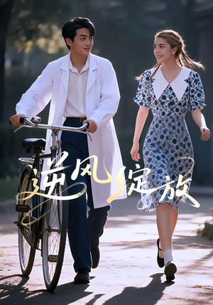 逆风绽放（55集）好看上头的短剧