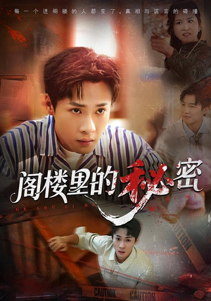 阁楼里的秘密（76集）解说